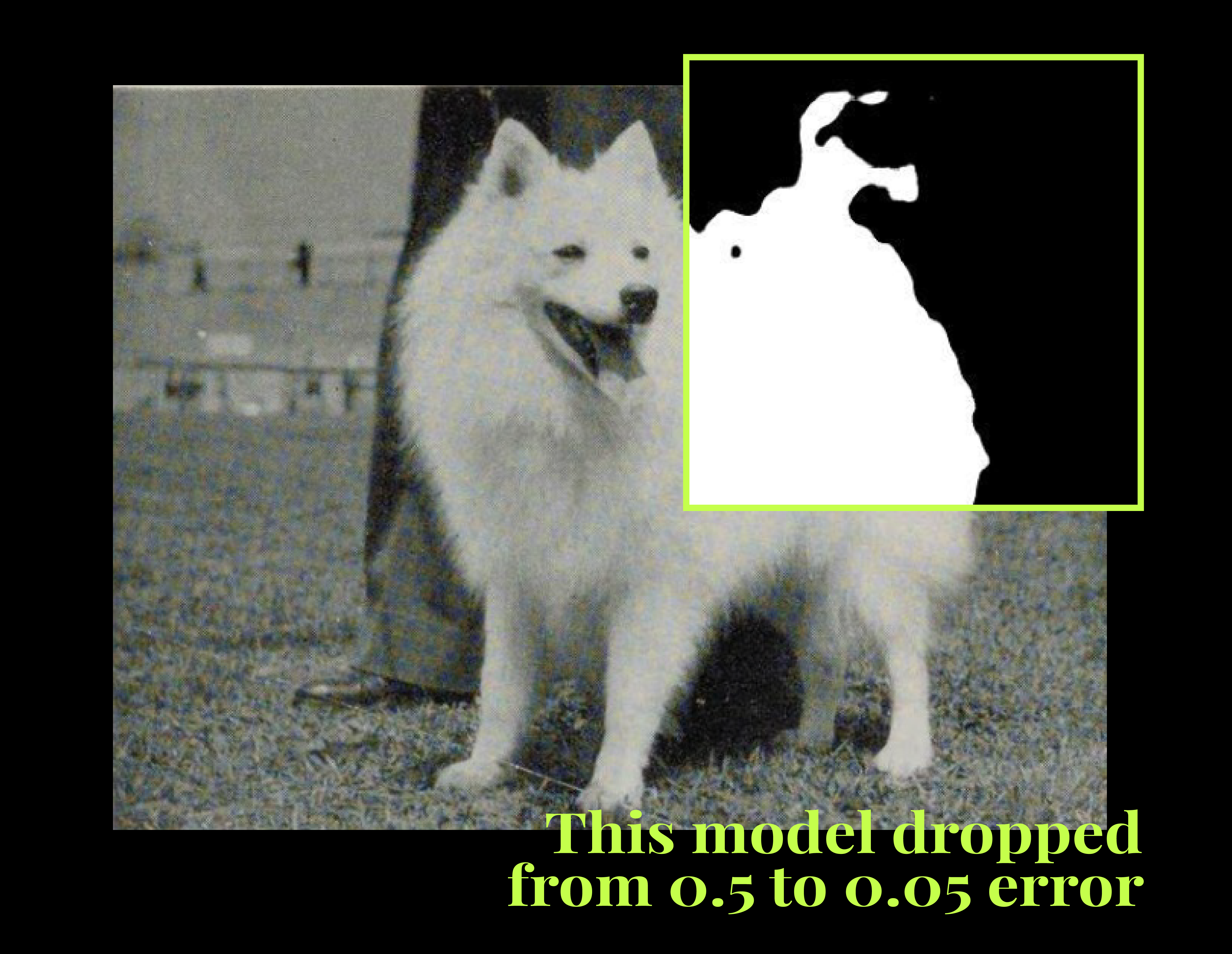 Data-Driven Dog Silhouette Modeling Insights