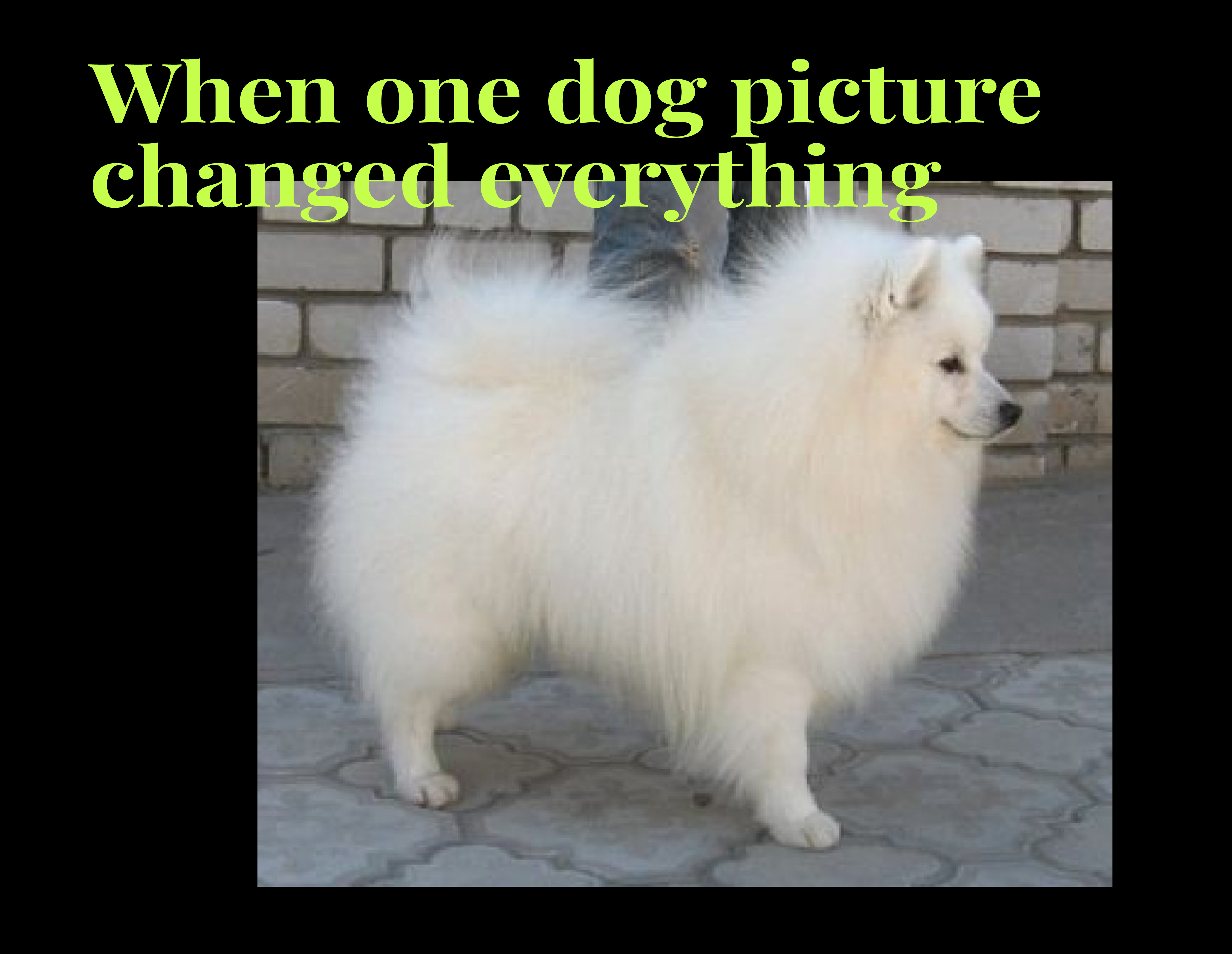 How idea was born