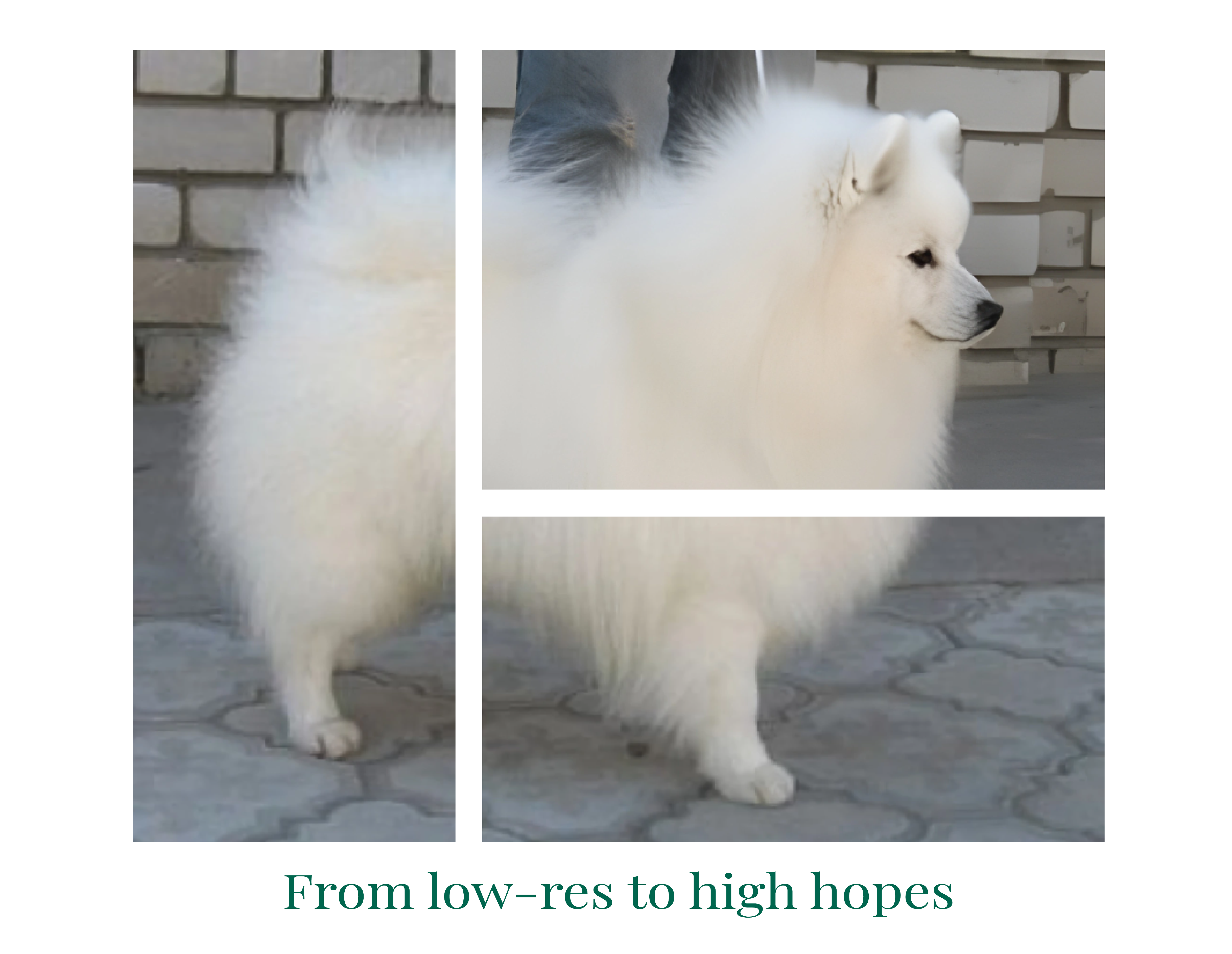 Trying to get photo upscales with existed services