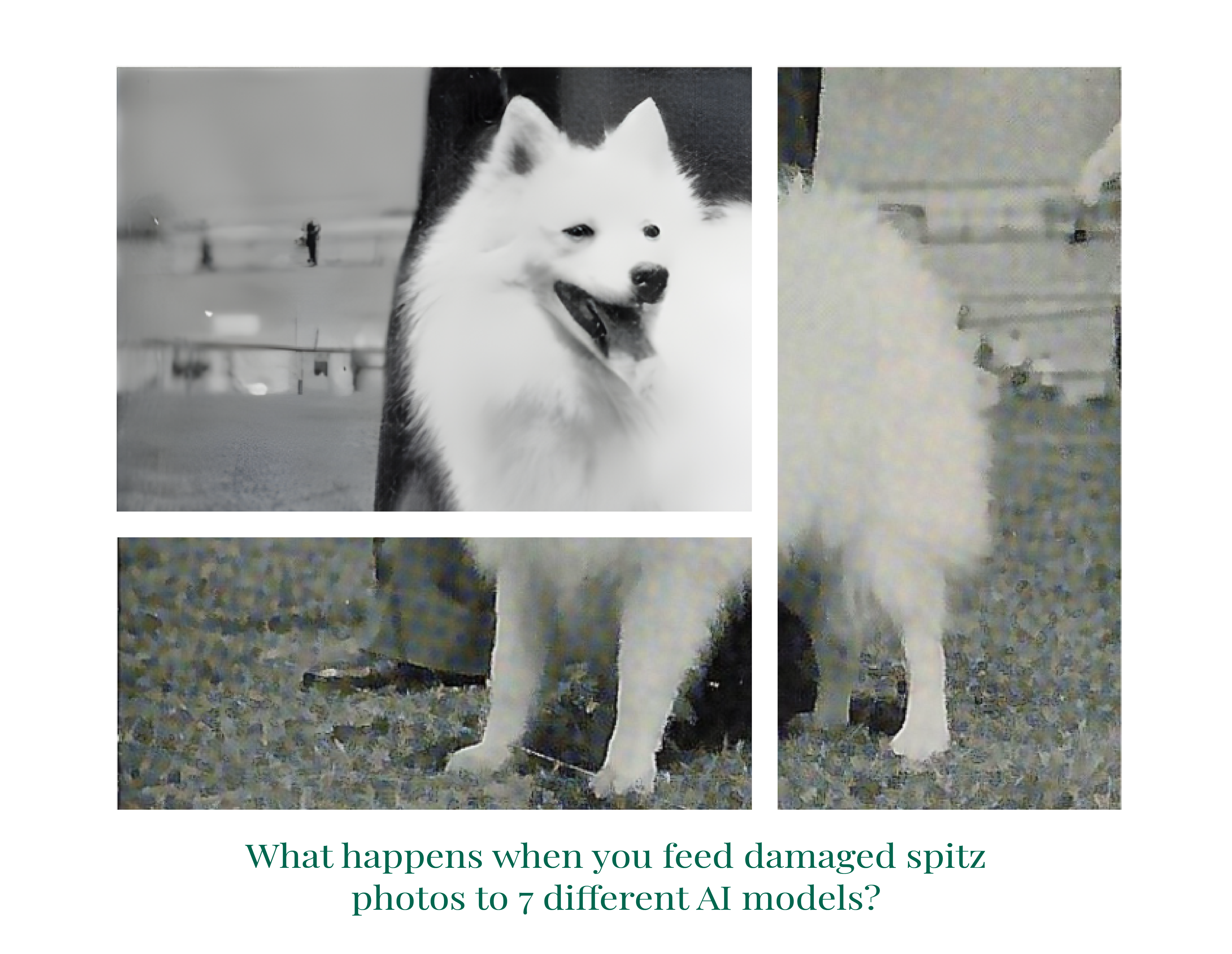 Restoring Images with AI Testing the Waters of Photo Recovery