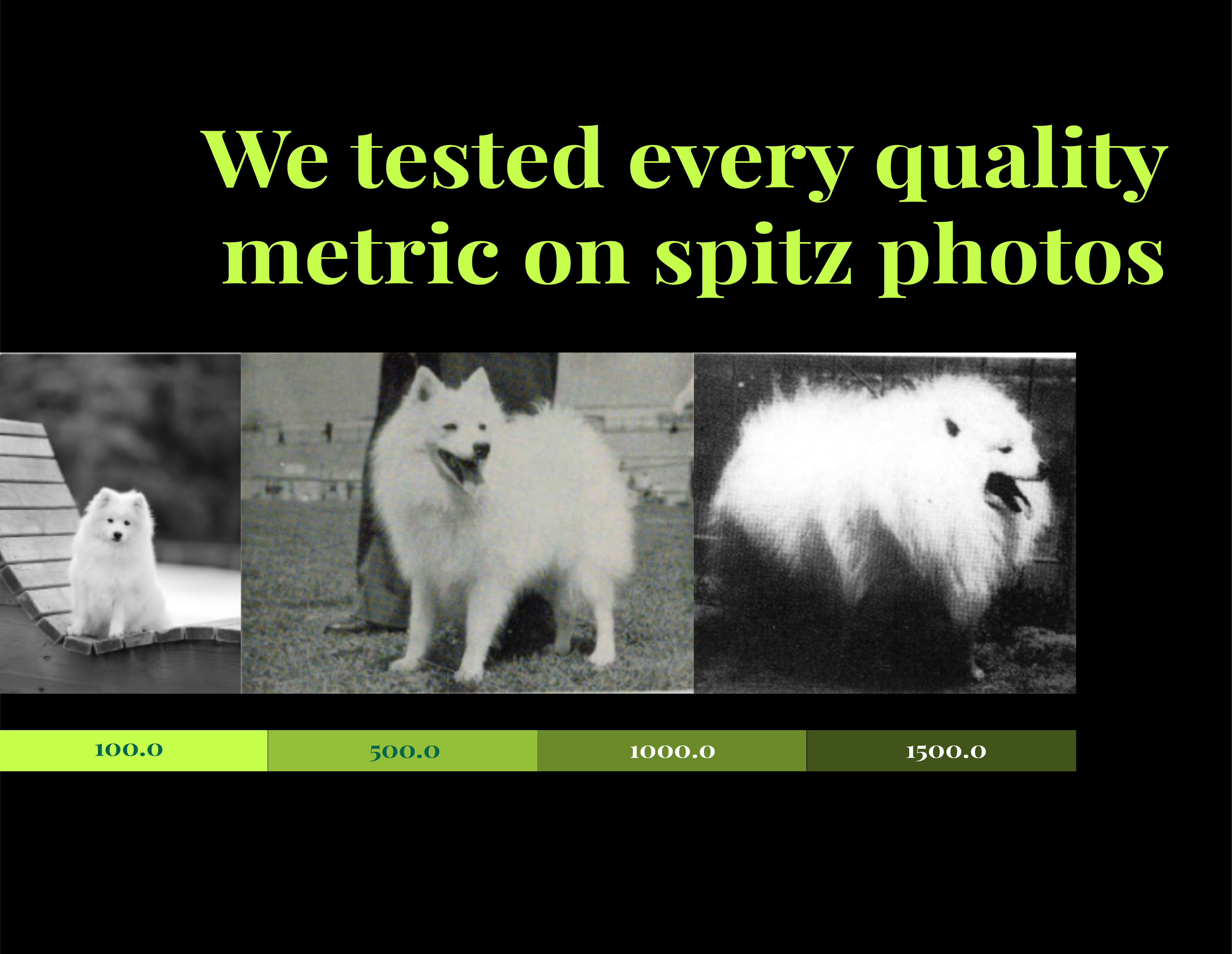 Understanding Image Quality Metrics A Comprehensive Guide