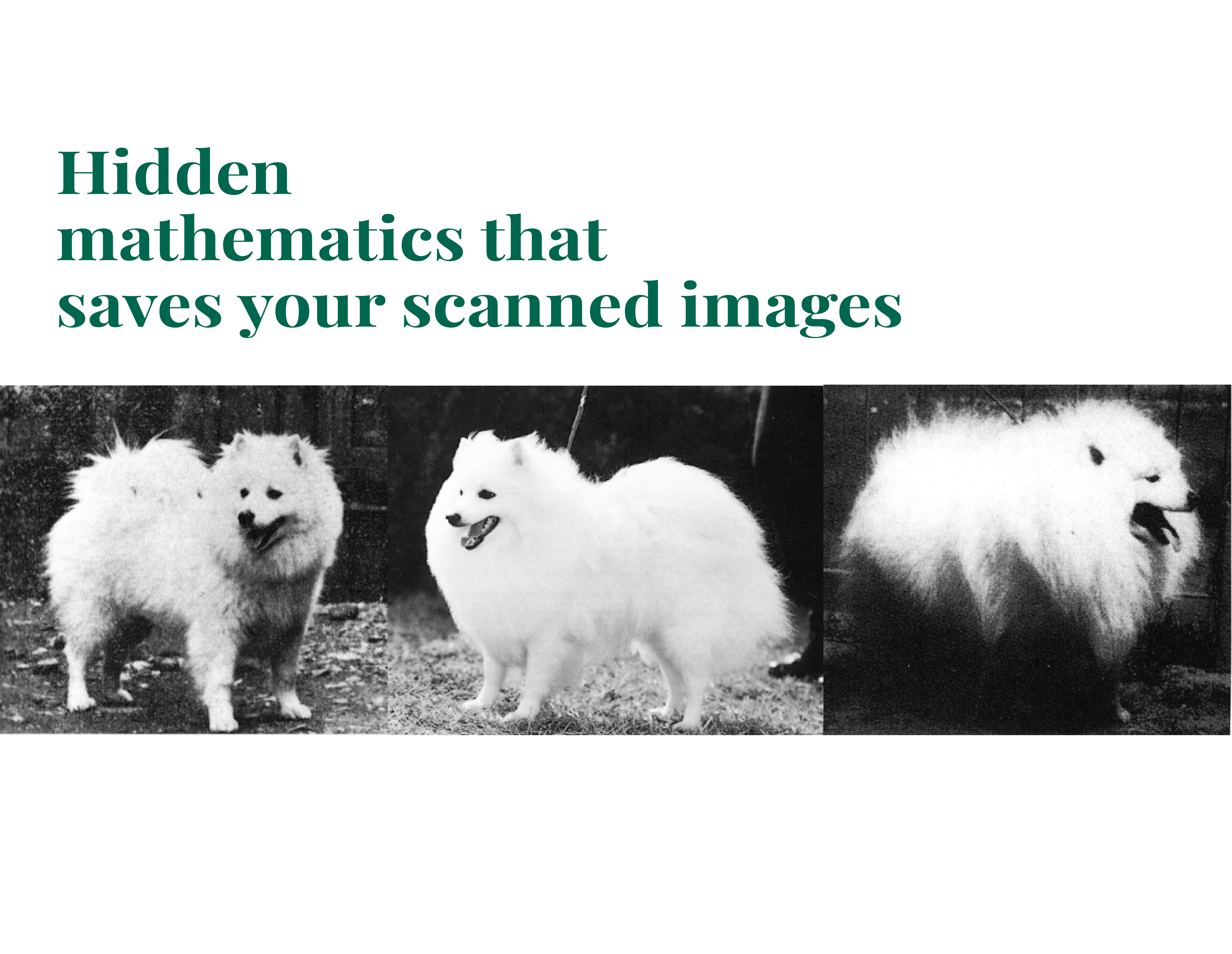 A Frequency-Domain Descreening Filter for Image Restoration