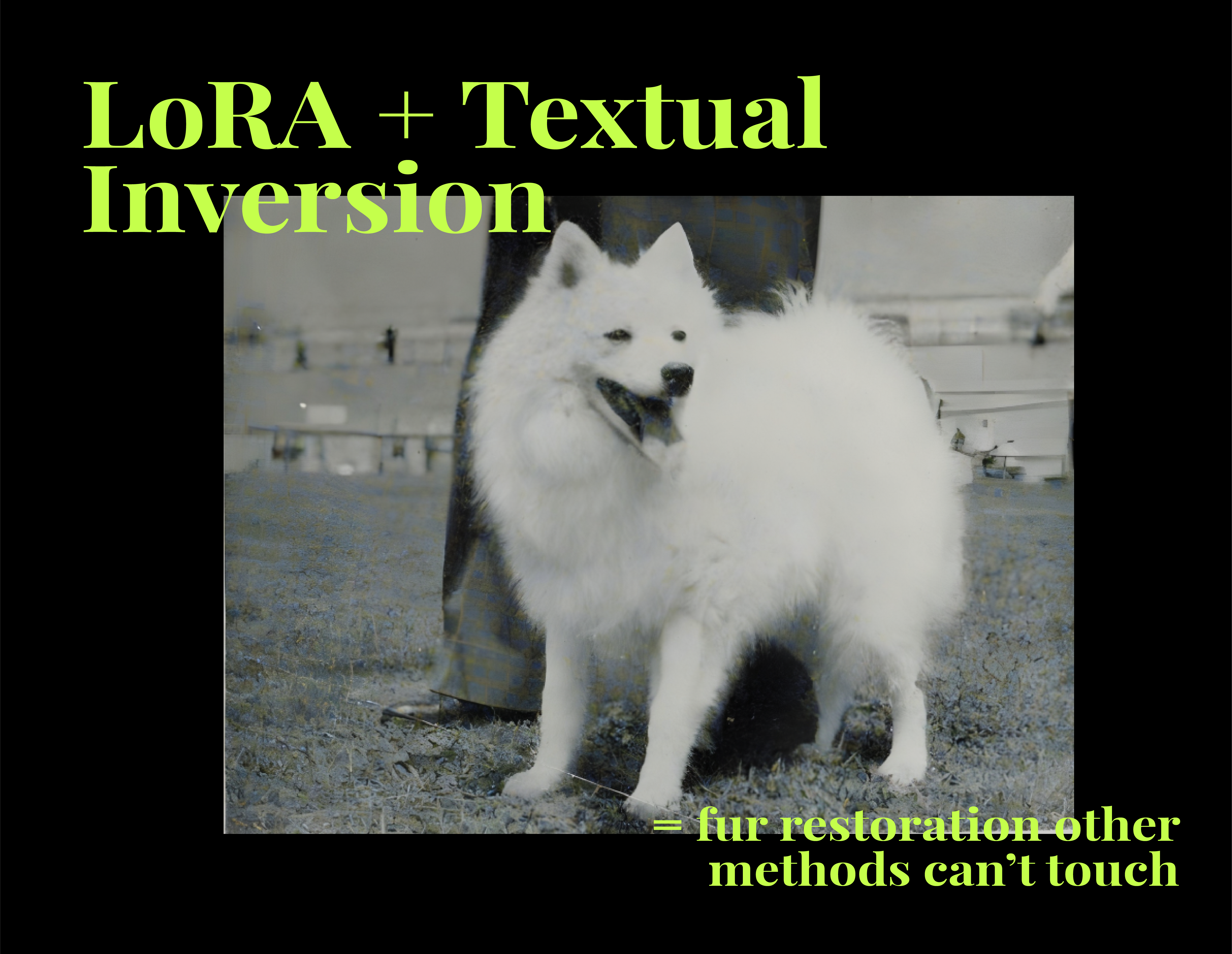 Why Our Combined LoRA and Textual Inversion Approach is the Best for Spitz Fur Inpainting