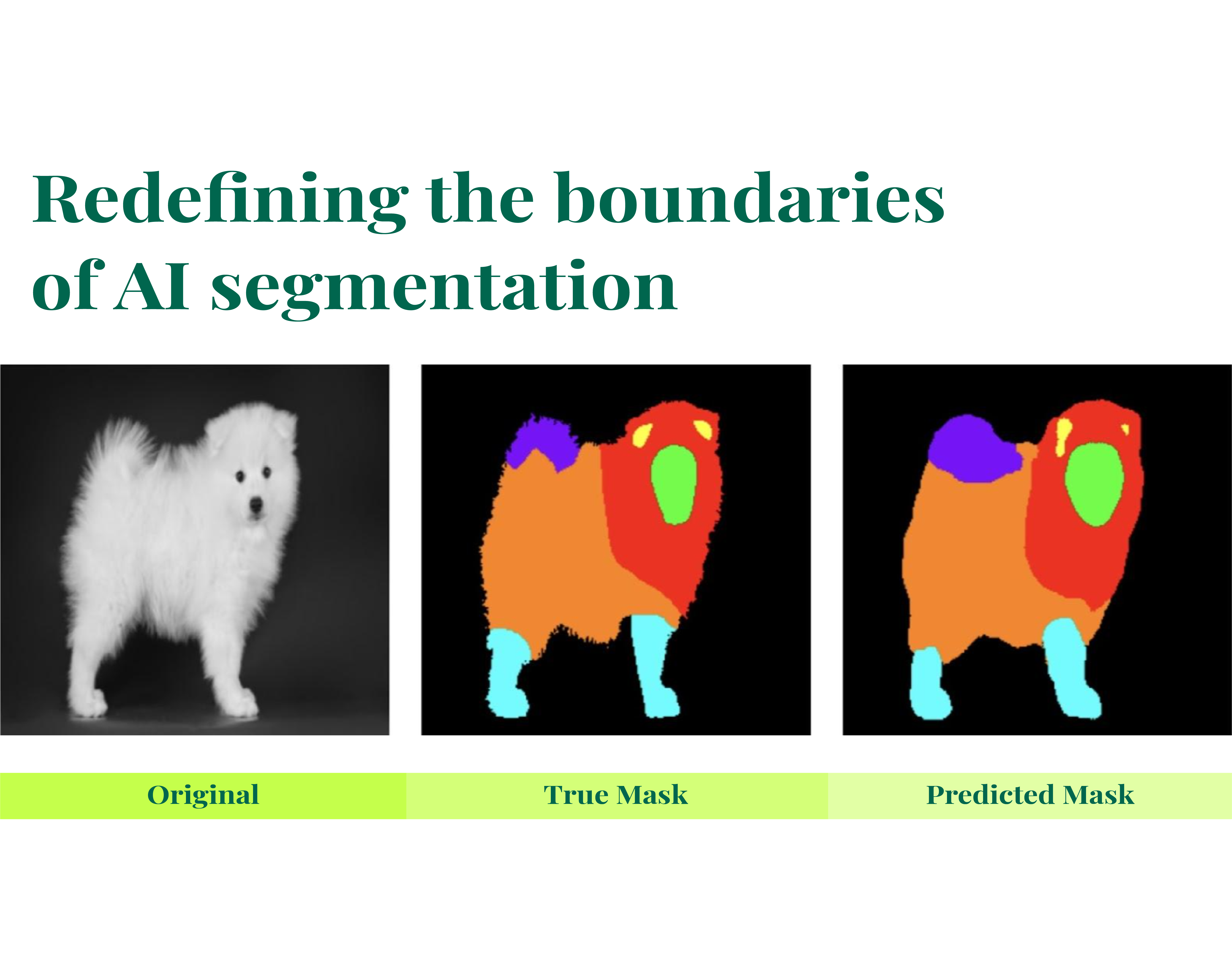 CIDN: Deep Architecture for Flawless Japanese Spitz Segmentation