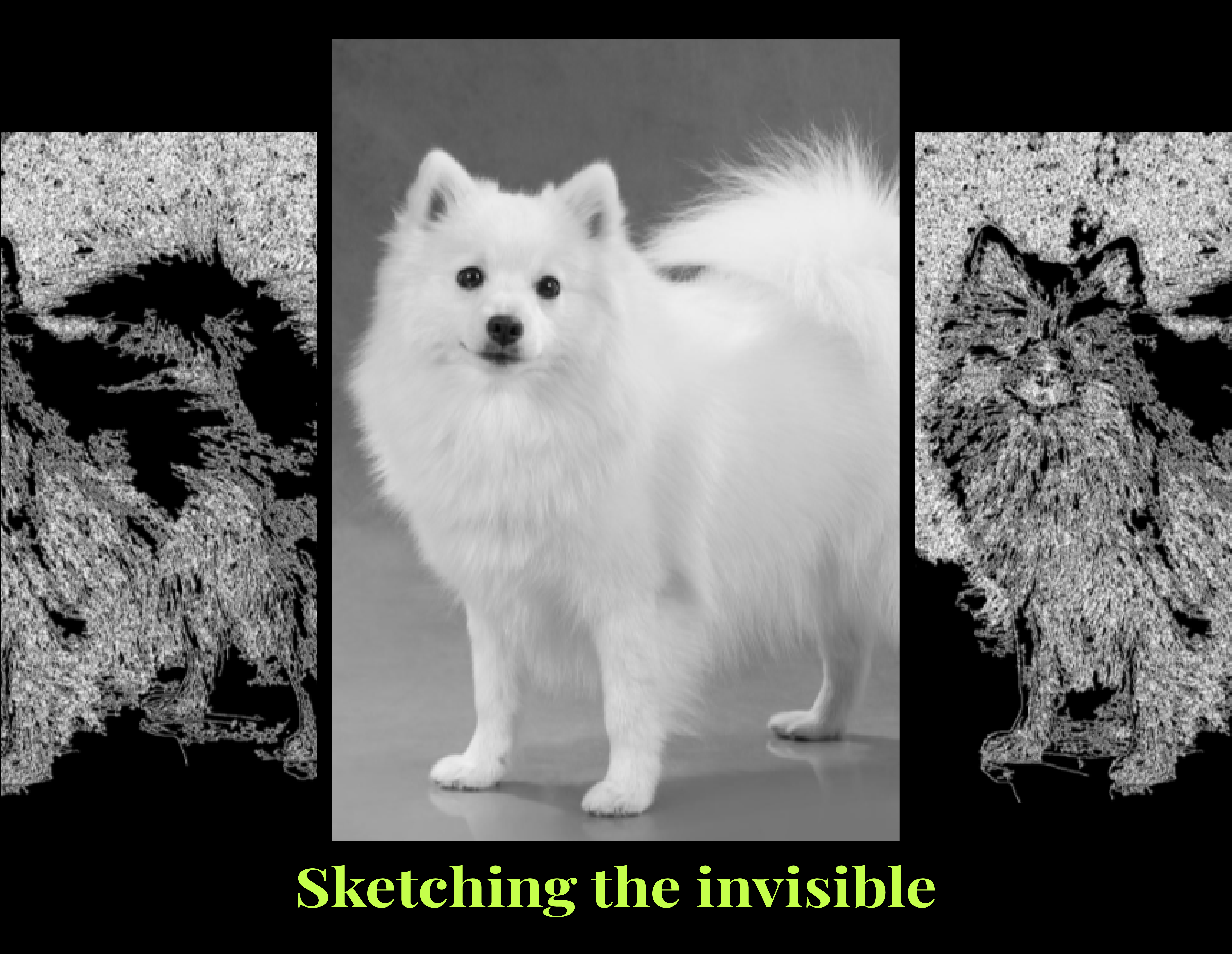 Diagnostic Sketching for Analyzing the Image Quality of Japanese Spitz Dogs