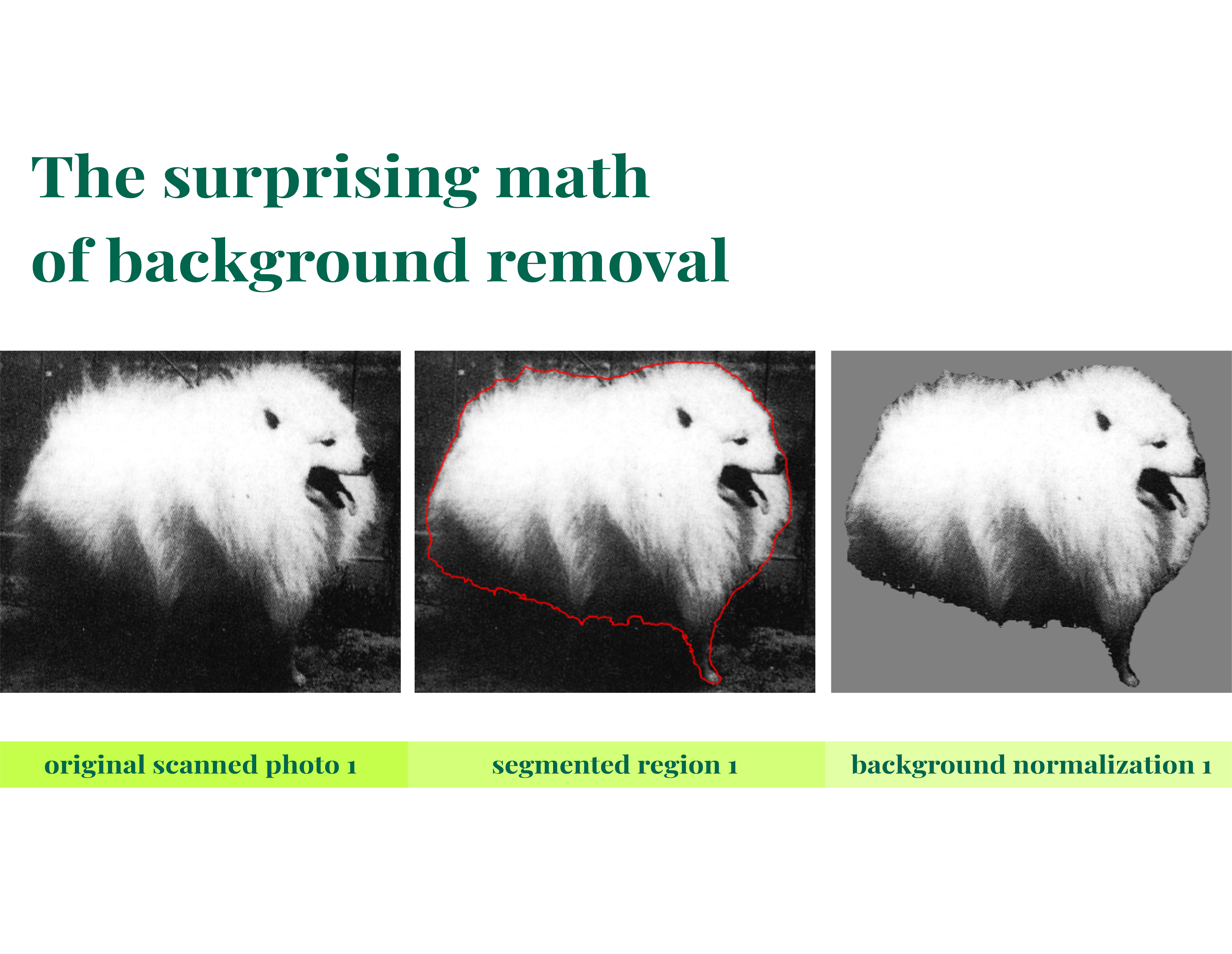 When Backgrounds Disappear: How Segmentation Changes Image Quality